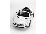 Veicolo elettrico Mercedes-AMG GT